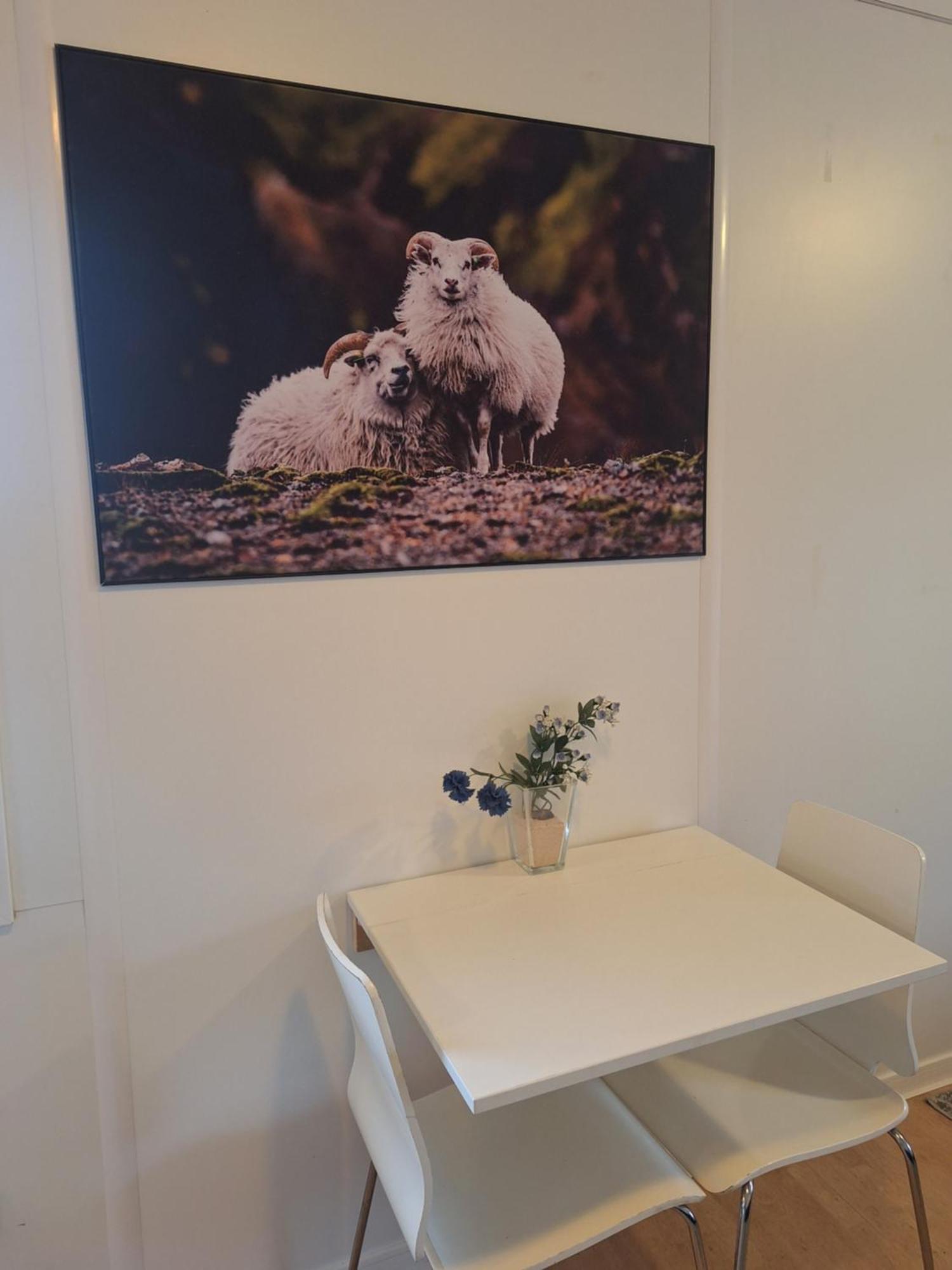 Solvellir Holiday Home Kjosahreppur Luaran gambar